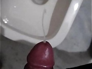 Beautiful Cock