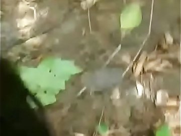 indian girl fucked in forest